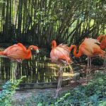 Salisbury Zoological Park