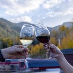 Park City Wine Festival