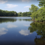 Bald Mountain State Recreation Area