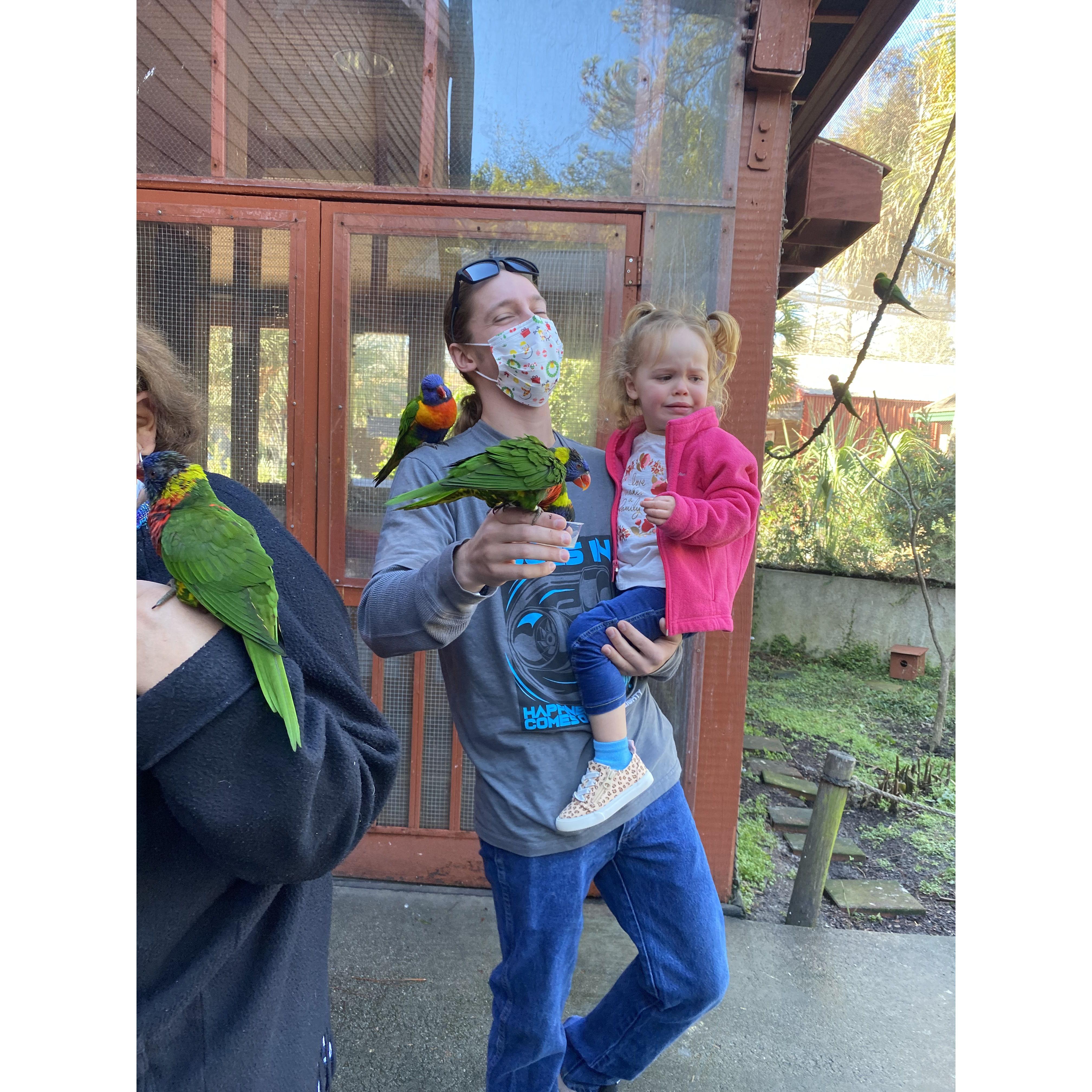 That time Thea loved the birds at the Zoo