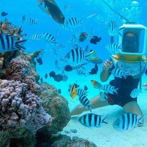 Helmet Dive in Bora Bora