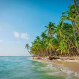 Saona Island