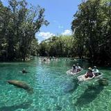 Crystal Springs