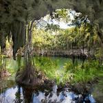 Indigenous Eyes Ecological Reserve