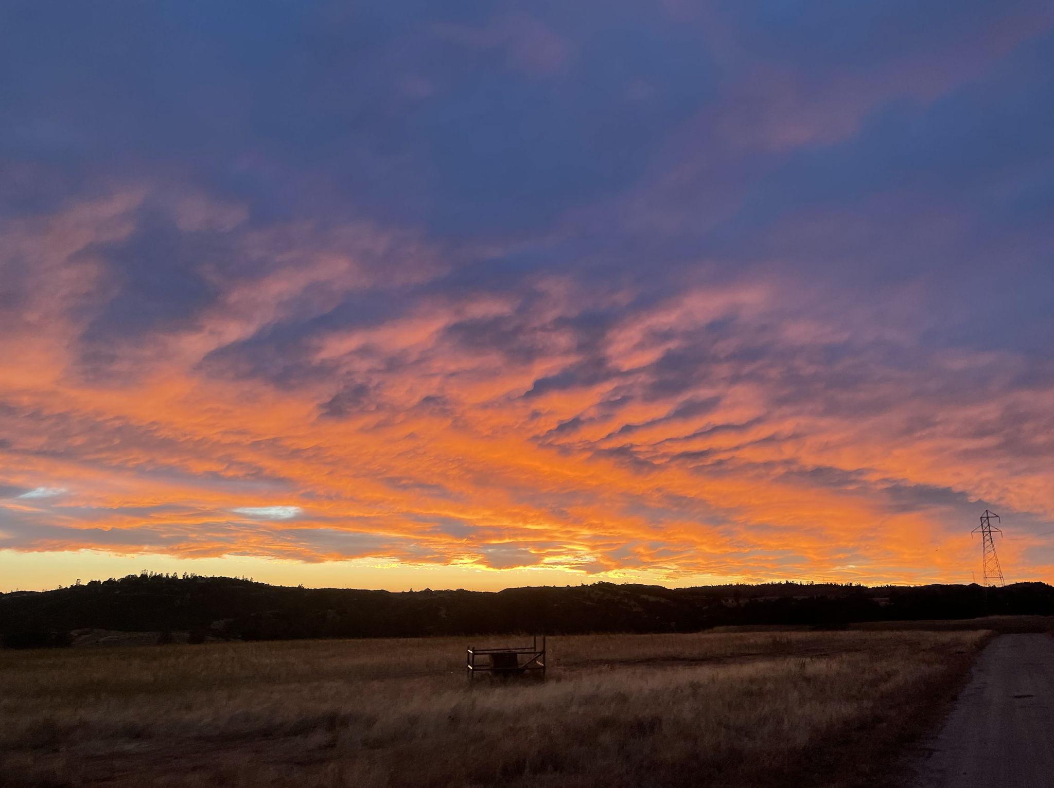 The Wedding Website of Tayler Philbrick and Dakota Towle