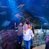 SEA LIFE Grapevine Aquarium