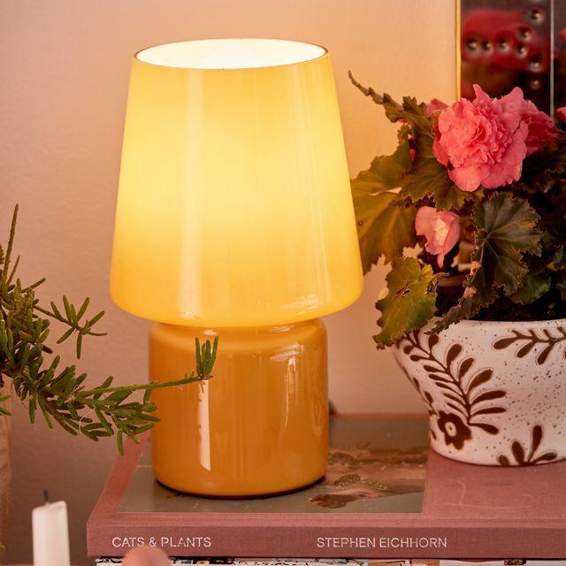 Little Glass Table Lamp