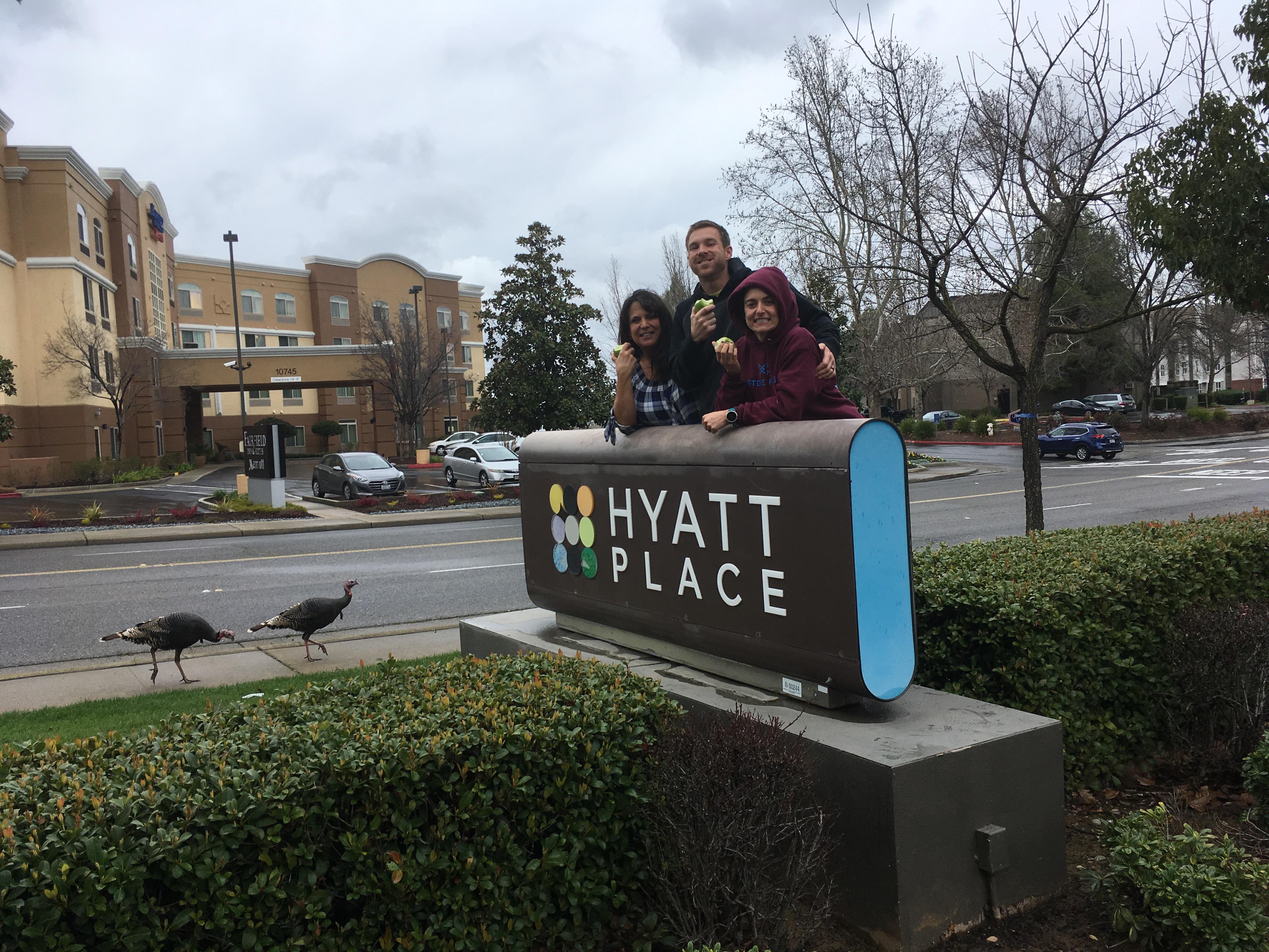 The Wedding Website of Lydia Palma and Michael Miner