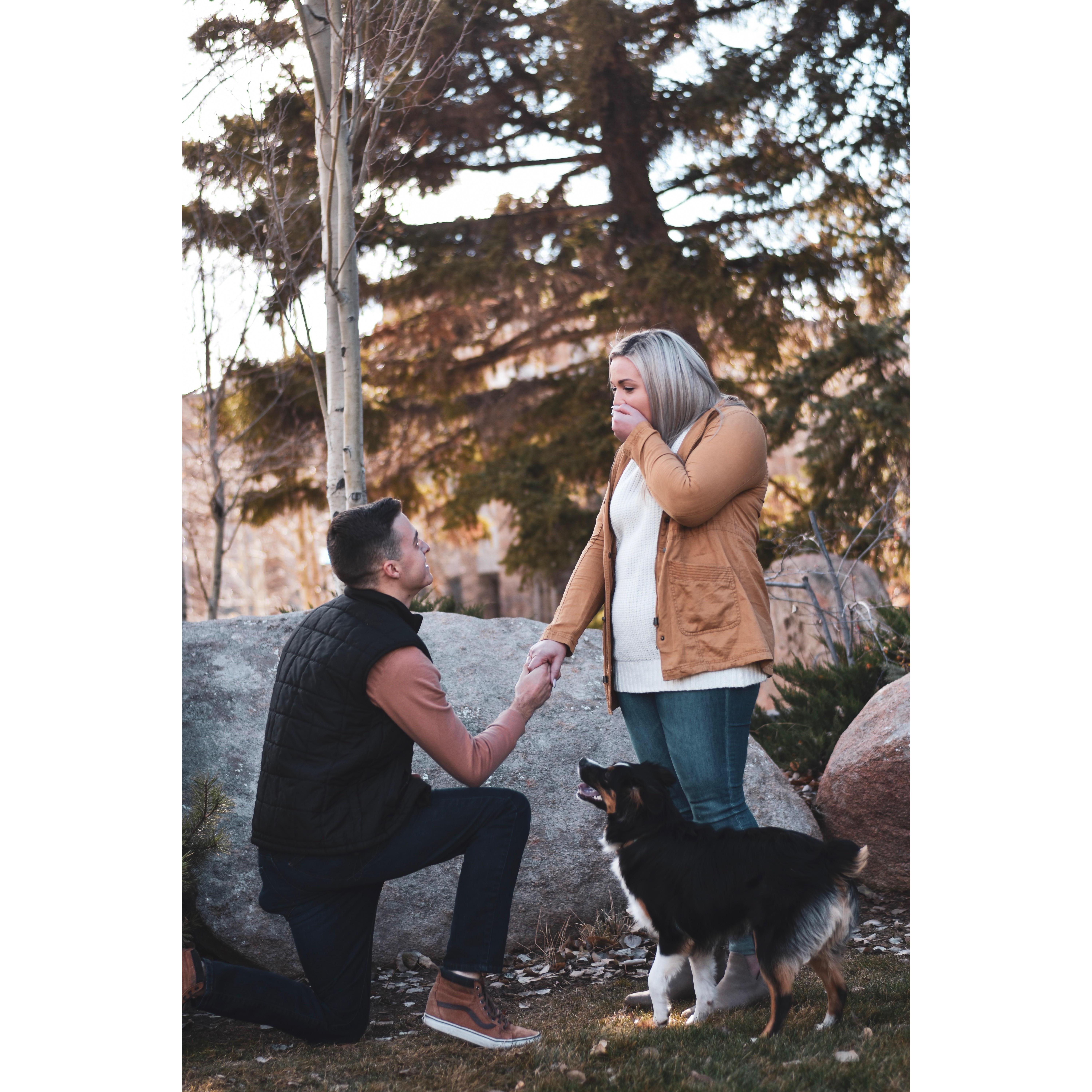 Bryce Proposing Fall 2018 Laramie, WY
PC: Laurel Place
