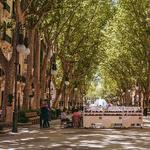 Mallorca: Paseo Del Borne