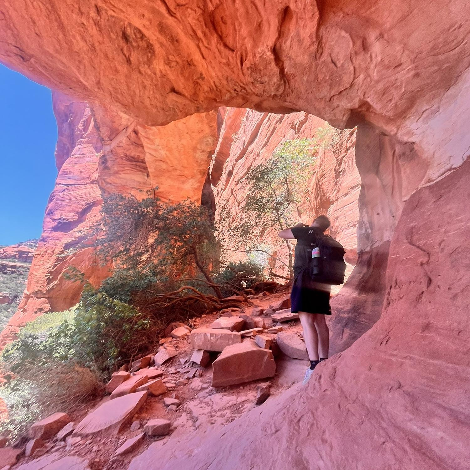 Arizona 2024