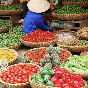 Hanoi street food tour