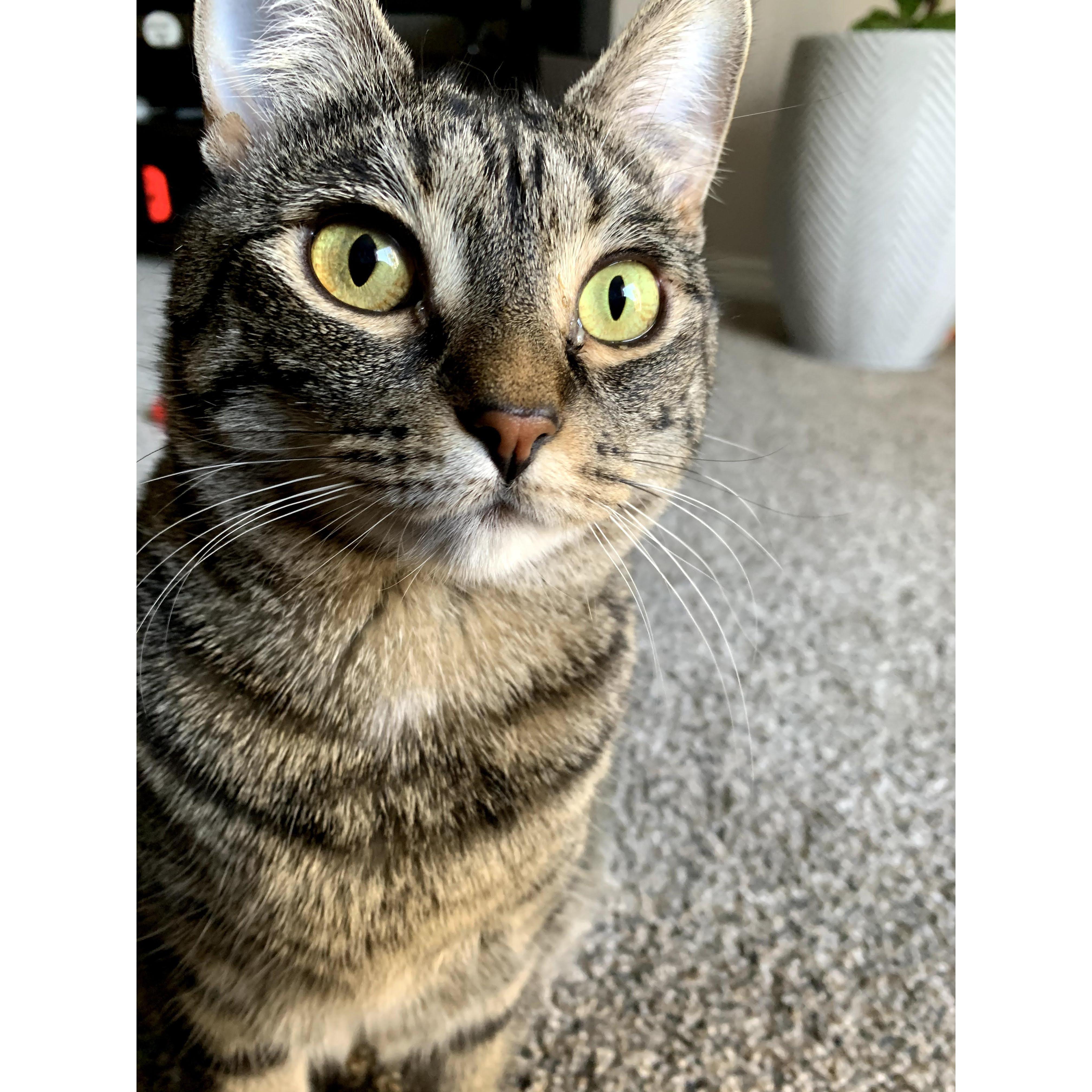 Our Zola