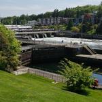 Ballard Locks and Fish Ladder