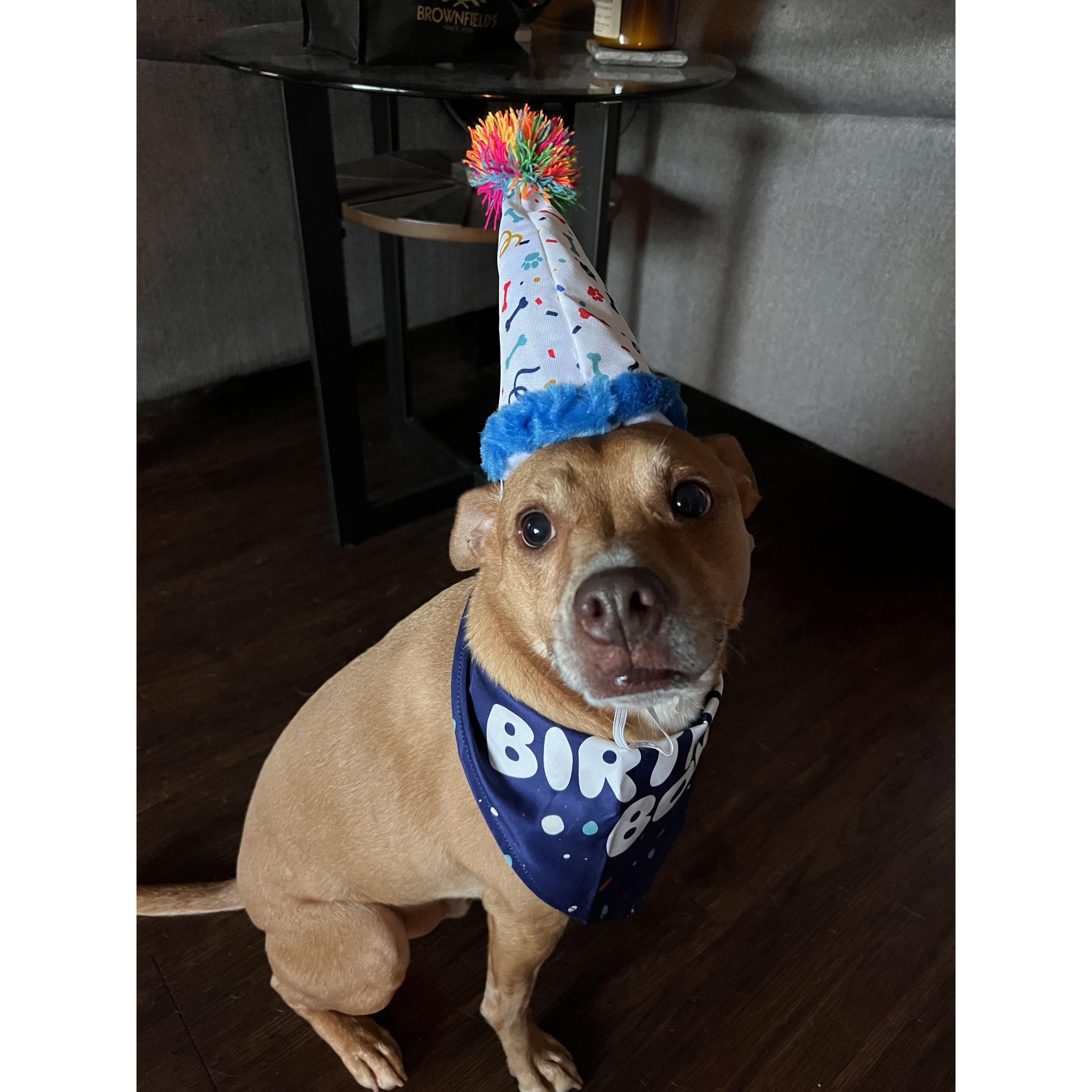 JoJo in his party hat on his 5th Birthday!