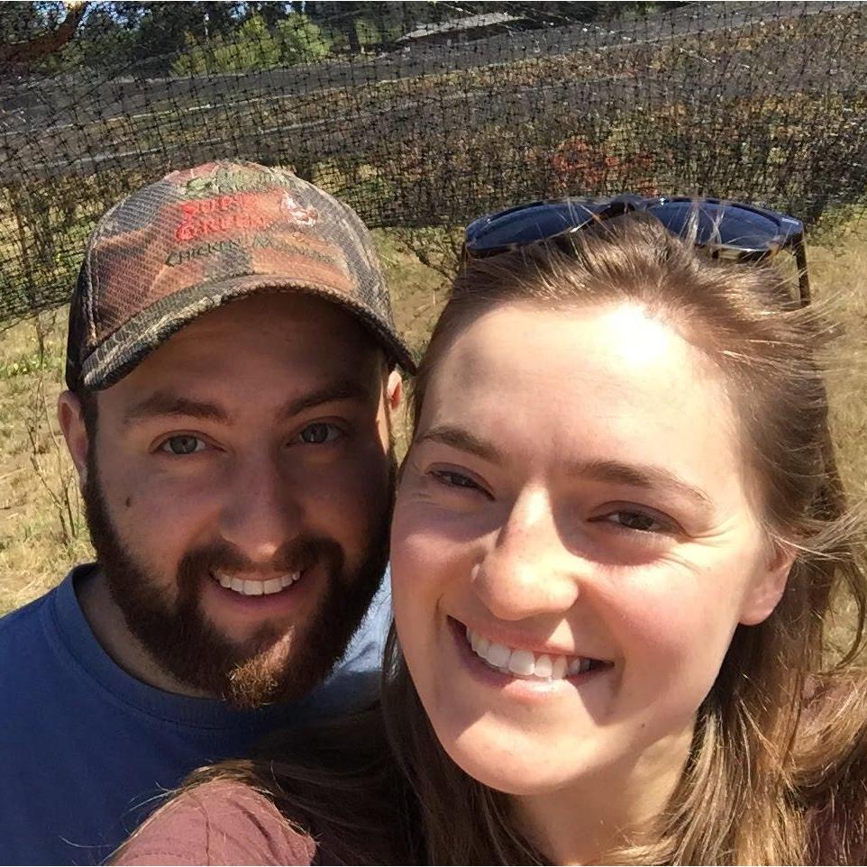 Picking blueberries, 2017
