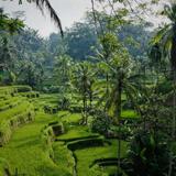 Ubud