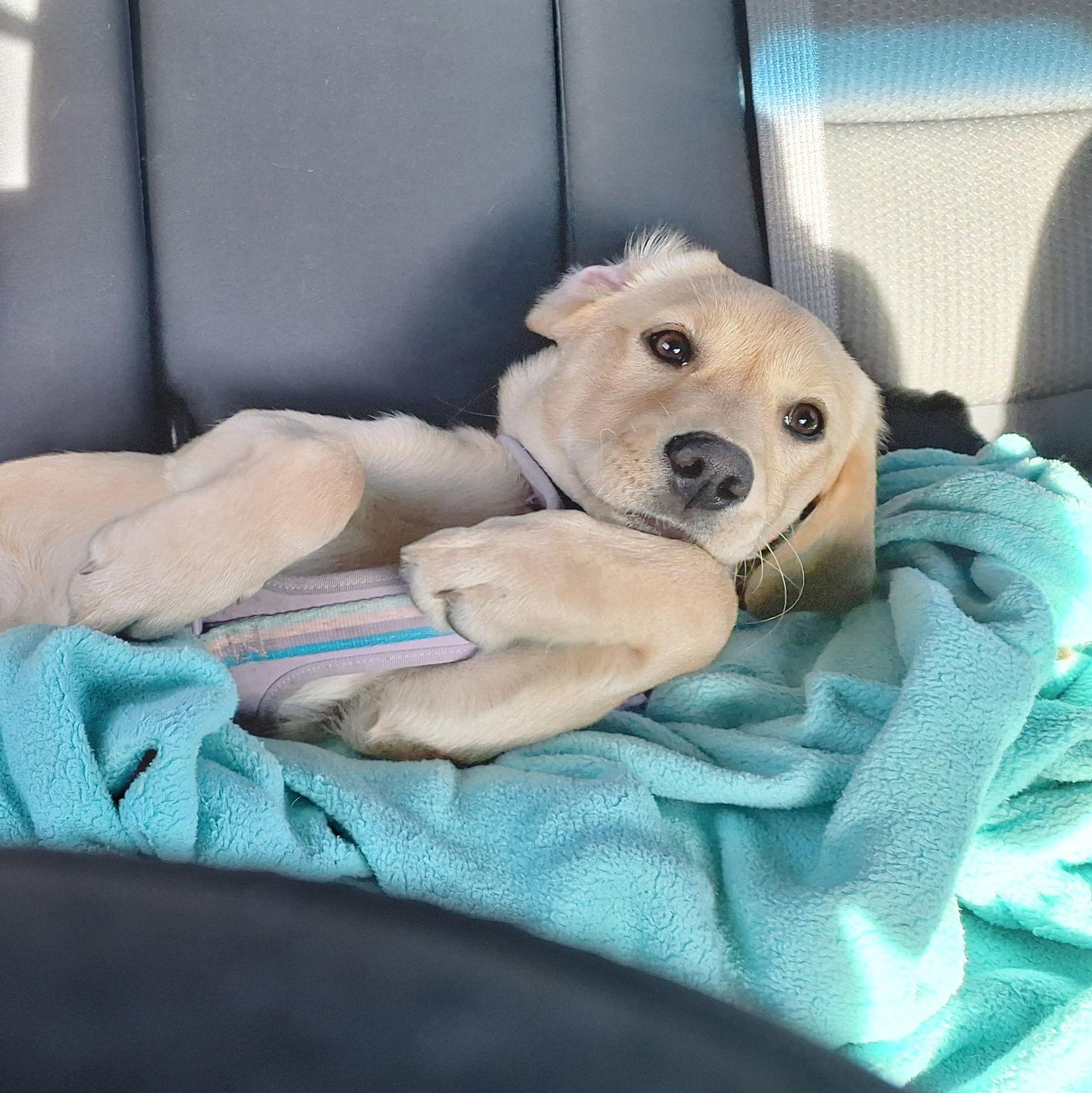 Long car ride!