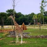 Columbus Zoo and Aquarium