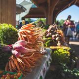 Eau Claire Downtown Farmers Market