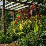 South Carolina Botanical Garden - Fran Hanson Visitor's Center