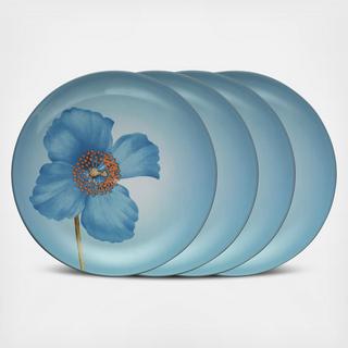 Colorwave Accent Plate, Set of 4