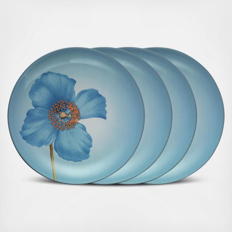 Noritake, Colorwave Accent Plate, Set of 4 | Zola