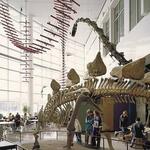 Science Museum of Minnesota