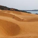 Red Sand Dunes (Đồi Hồng)