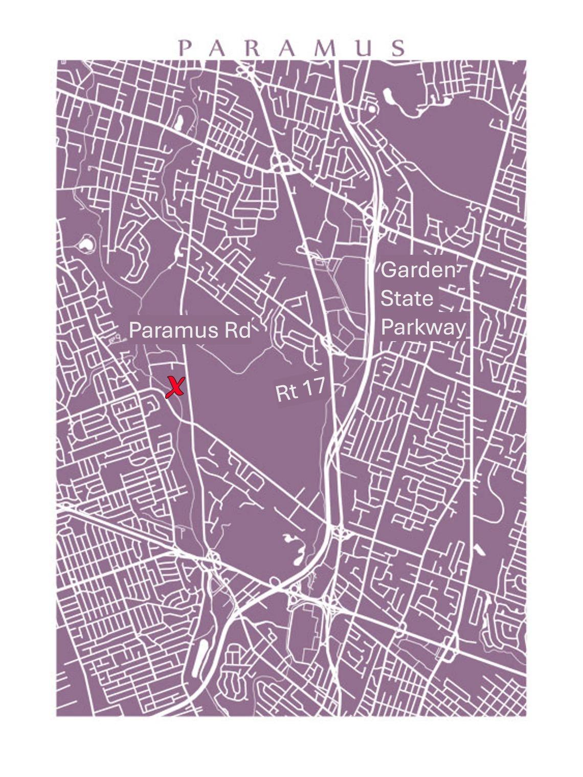 The Wedding Website of Tahiri Nunez and Sadime Absolam