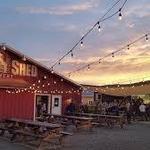 Red Shed Brewery
