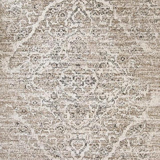 4620 Distressed Beige 8x10 Area Rug Carpet Large New