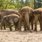 Oregon Zoo