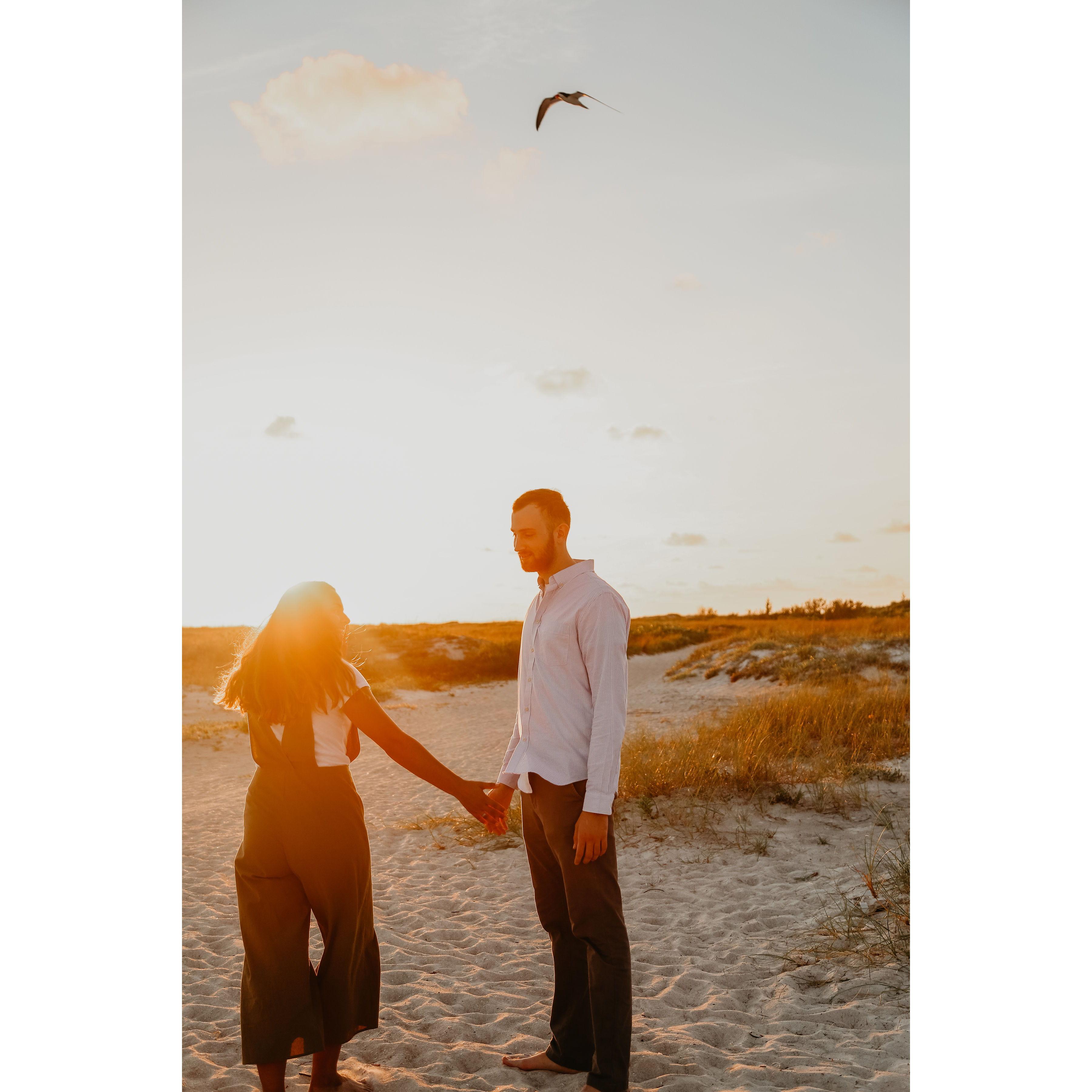 Lido Beach, Sarasota 2019