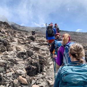 Guided Hike on the Slopes of Mt. Kilimanjaro (Day Trek)