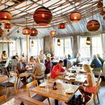 The Obstinate Daughter