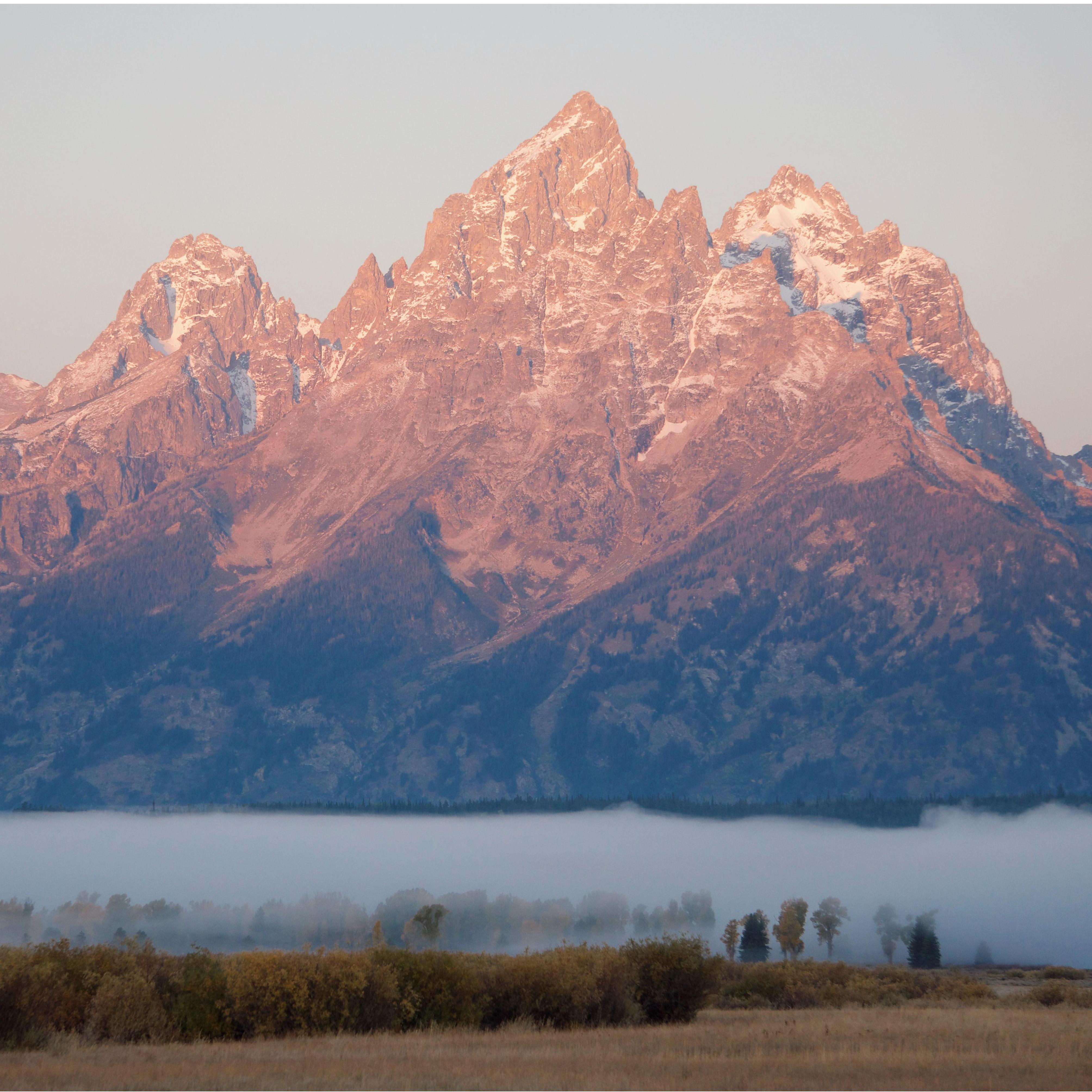 Nervously took this picture right before Wills popped the question as I noticed his demeanor change and his nerves started setting in.