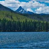 Suttle Lake Lodge