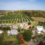 Riamede Farm