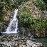 El Yunque National Forest