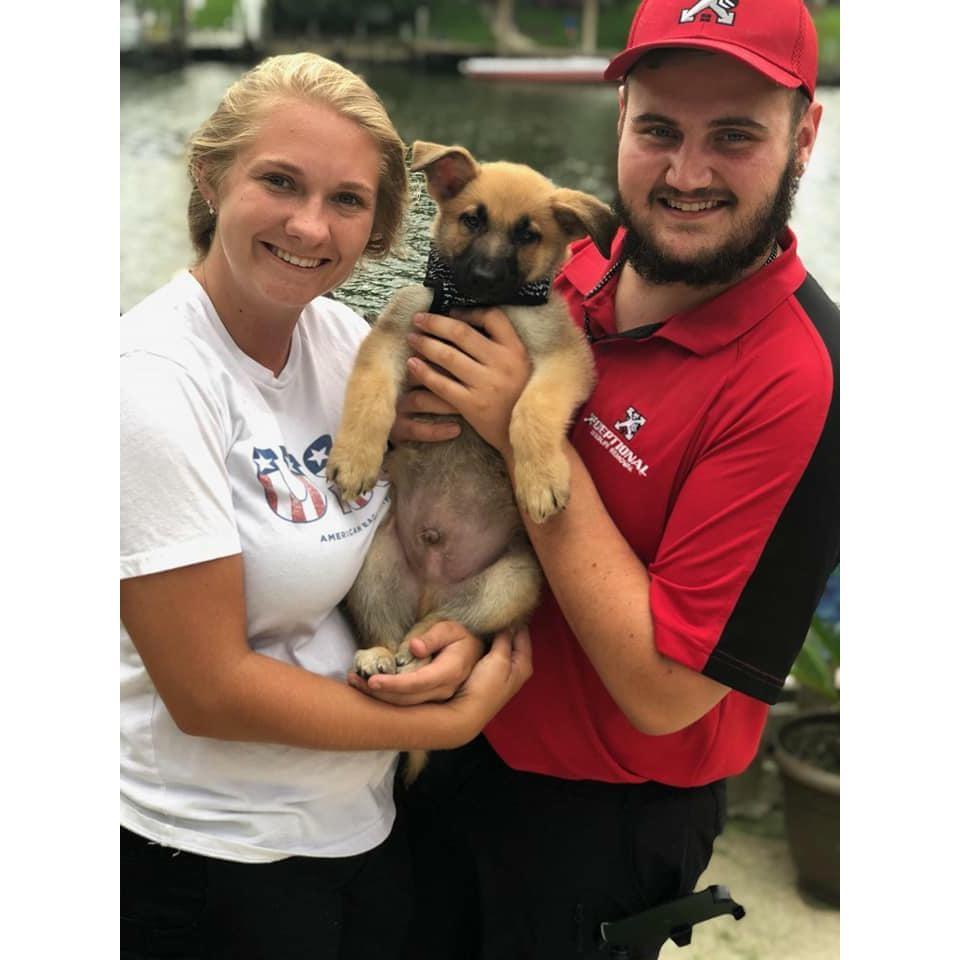 The day we got our first fur baby 2018