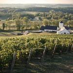 Virginia Wine Country