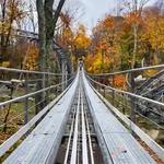 Wilderness Run Alpine Coaster