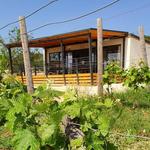 Stancija Collis Wine Tour