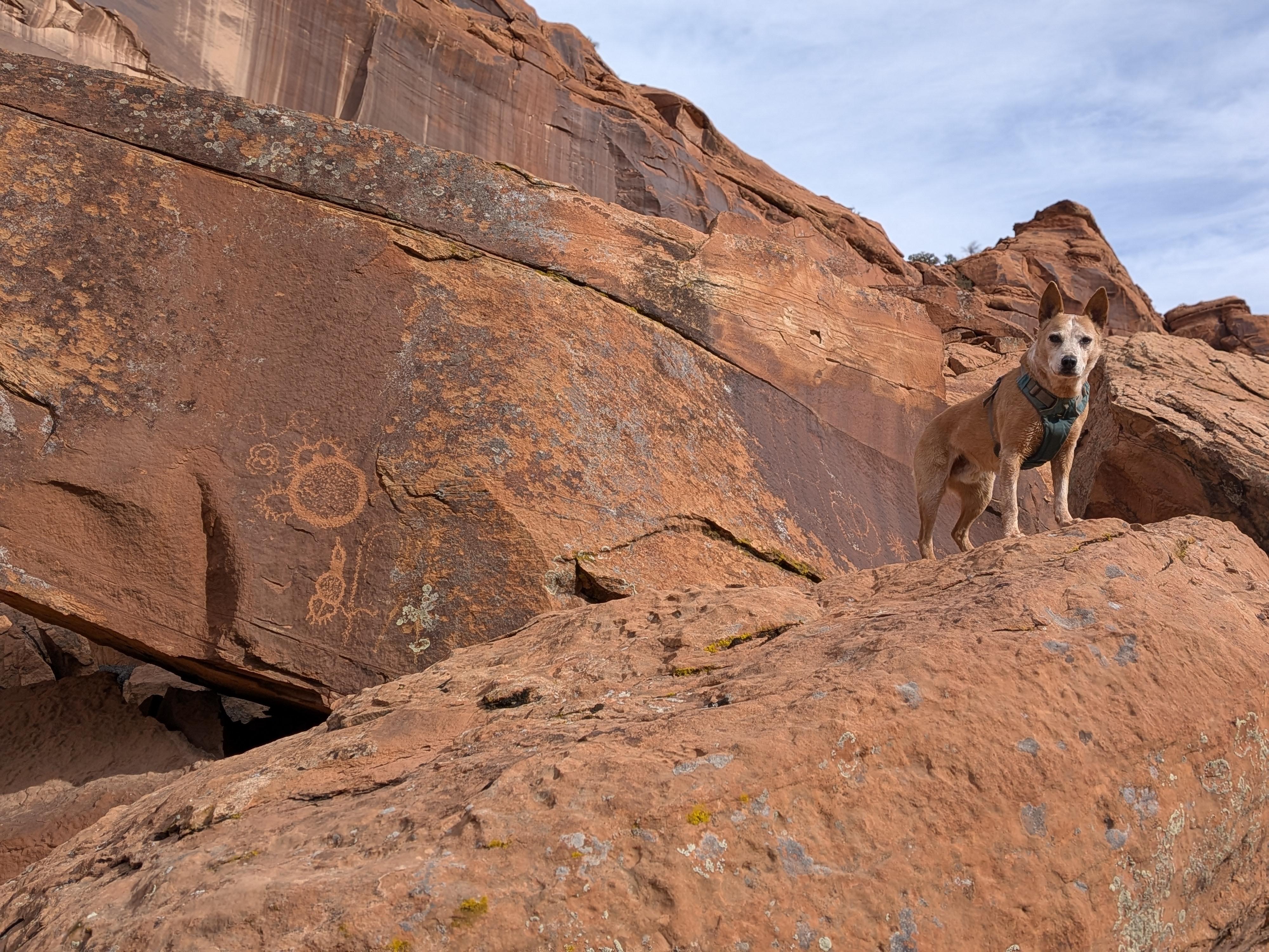 The Wedding Website of Dana Whitcomb and Chris Sullivan