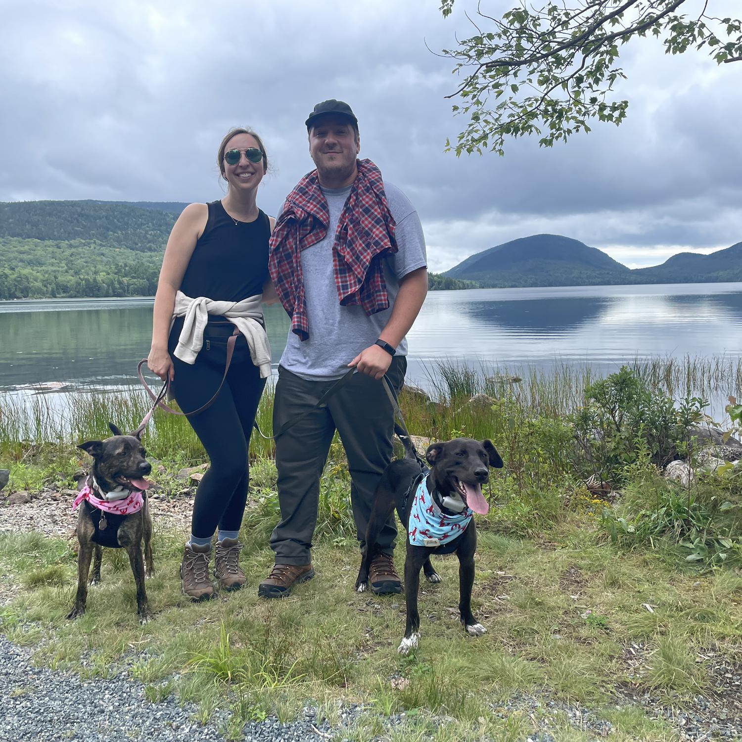 Brought Glinda and Ollie to Acadia for our third annual trip - 2023