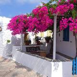 Artemonas