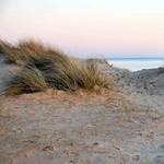 Great Island Trail