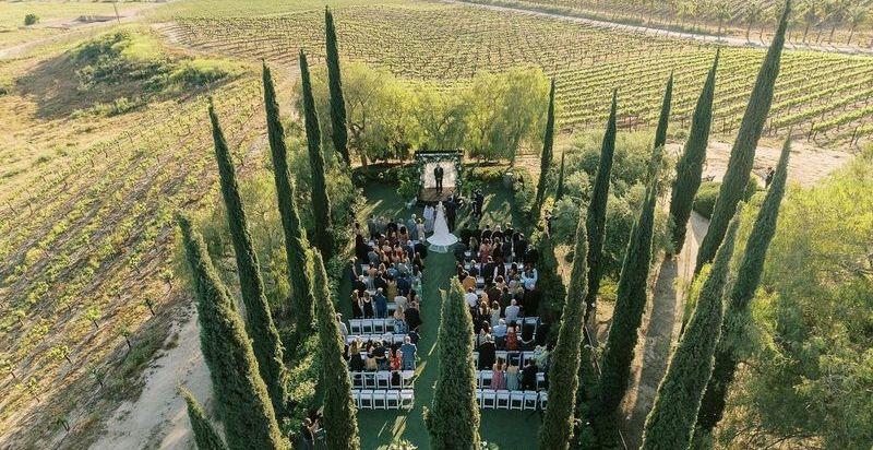 The Wedding Website of Michelle Todd and James Peterson