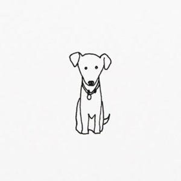 Help Us Buy Our First Puppy
